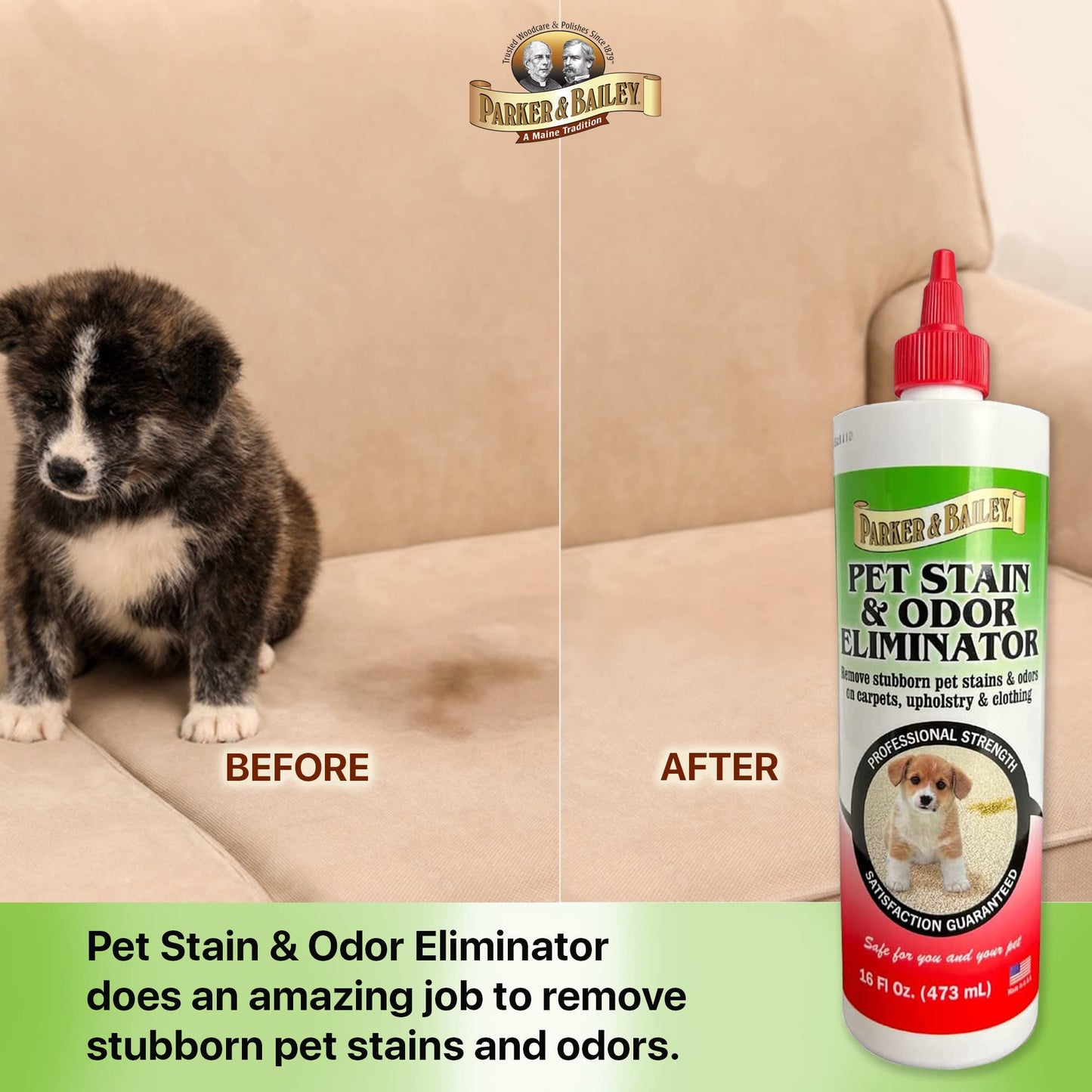 Parker Bailey Pet Stain & Odor Eliminator 16oz bottle