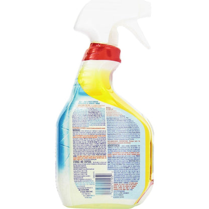 Tilex 32 oz. Mold and Mildew Remover