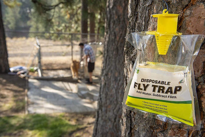 Rescue Disposable Fly Control Trap