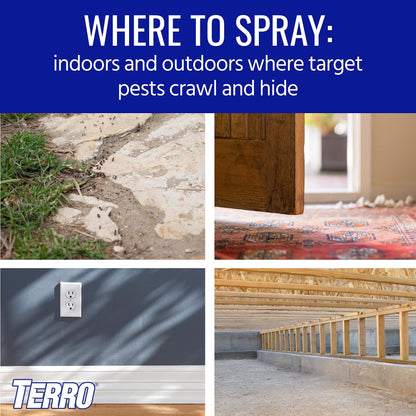 Terro T2302 Spider Killer Aerosol Spray, Multicolor